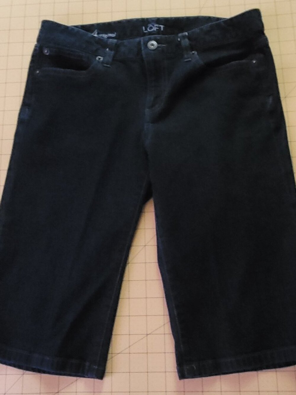Ann Taylor LOFT Dark Blue Jean Shorts Misses Size 4